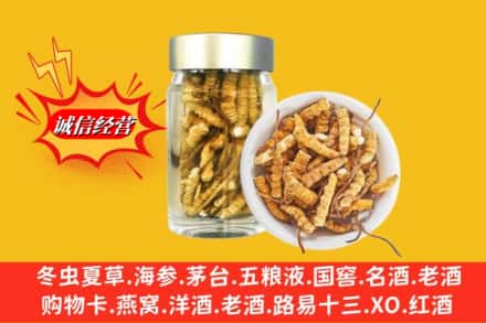 运城市临猗回收散虫草