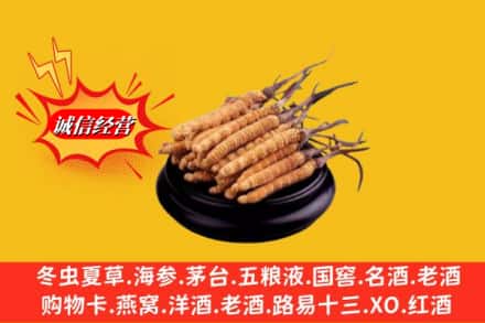 运城市临猗求购回收虫草多少钱每克